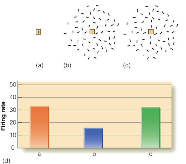 Image:05Neurons for grouping.png