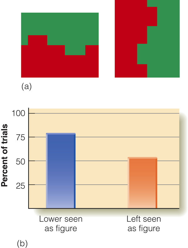 Image:05Figure ground.png