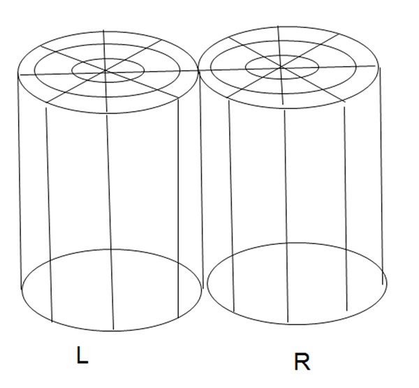 Image:04Hypercolumn by De Valois and De Valois.png