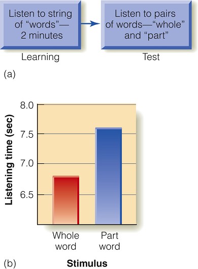 Image:13.28.jpg