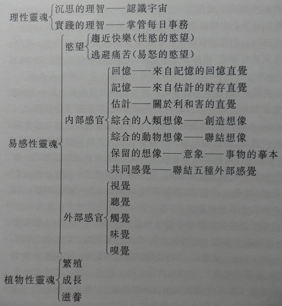 Image:伊本●西那的官能心理學.jpg