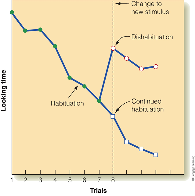 Image:06habituation.png