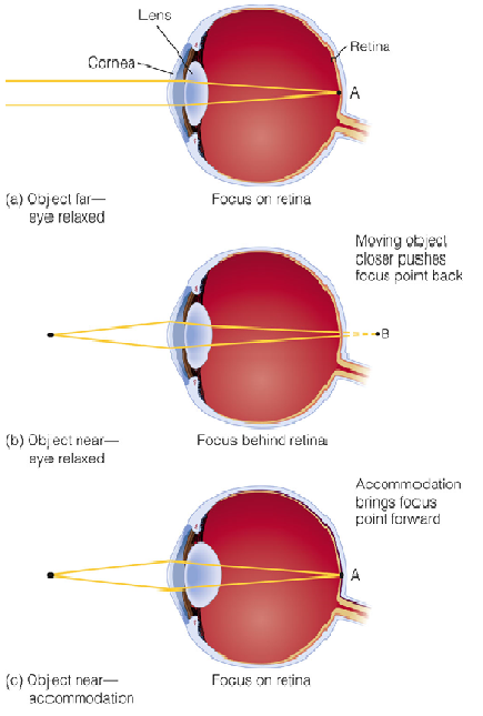 Image:02the eye and image2.png