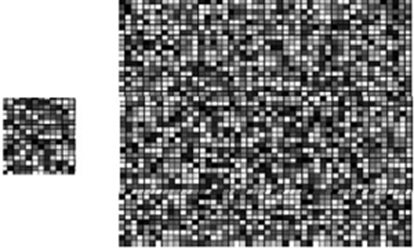 Image:05Coarse scale and fine scale 2.png