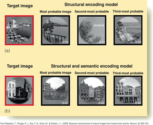 Image:05Structure encoding2.png