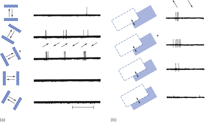 Image:03Receptive Fields3.png