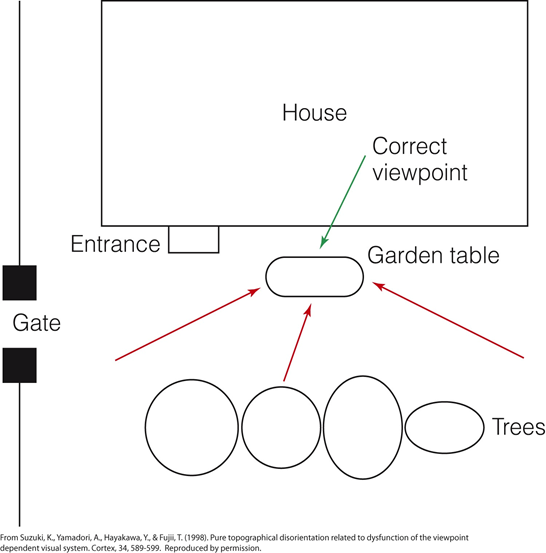 Image:07brain damage on wayfinding (2).png