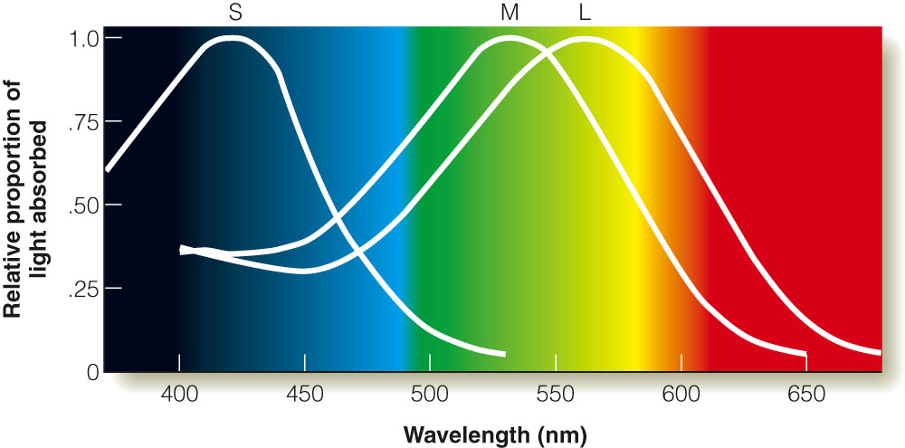 Image:pigment.jpg