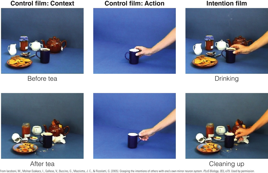 Image:07Intention and mirror neurons.png