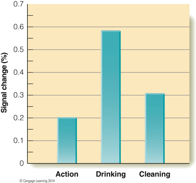 Image:07Intention and mirror neurons2.png